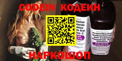 мдпв Камышлов