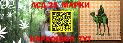 эйфоретик Кандалакша