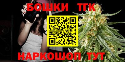 мдпв Камышлов