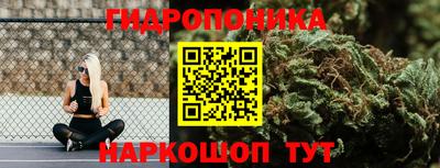 эйфоретик Кандалакша