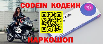 мдпв Камышлов