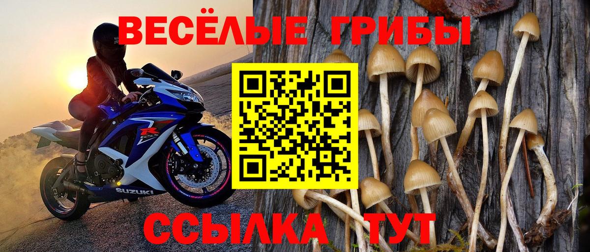 Псилоцибиновые грибы мухоморы  Вход с VPN  Кумертау 
